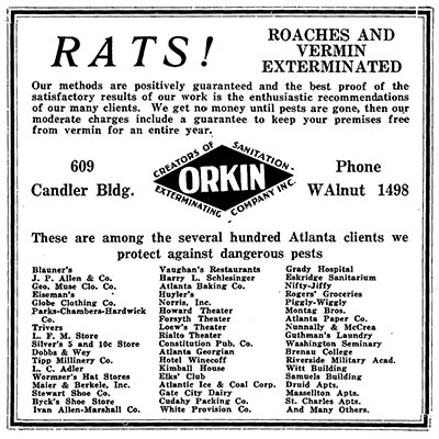 rat flyer