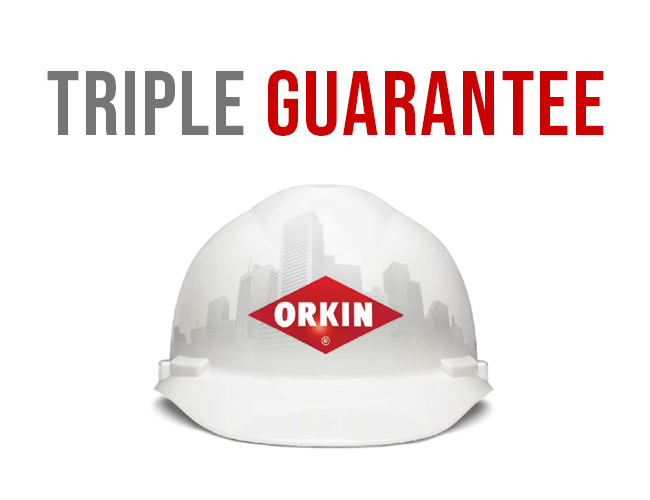 Orkin Triple Guarantee