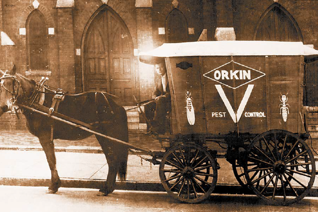 Why Orkin Story Mobile